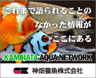 カミハタ アクアネットワークWEBサイト